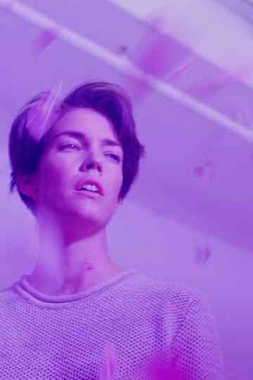 Looking Glass Poster