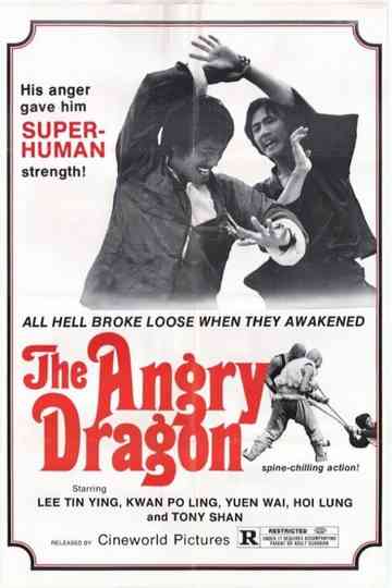 The Angry Dragon Poster