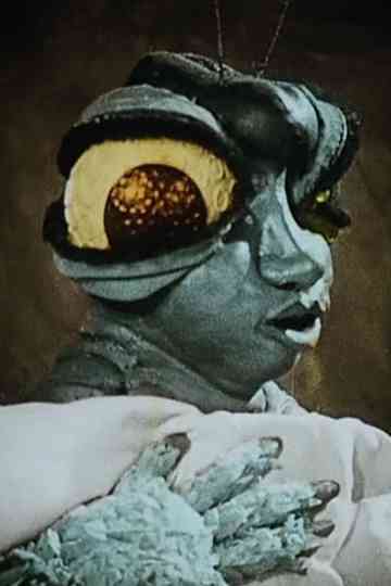 In the Spiders Grip Poster