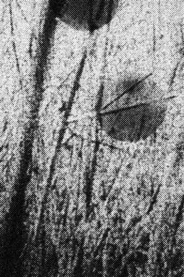 Across the Field poster