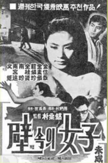 A Woman in the Wall Poster