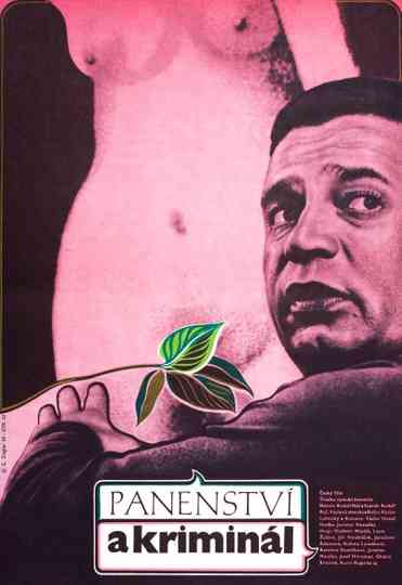 Panenství a kriminál Poster