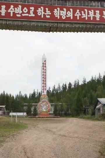 North Korean Labor Camps Poster