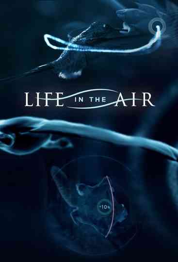 Life in the Air Poster