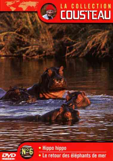 The Cousteau Collection N°6-1 | Hippo, Hippo Poster