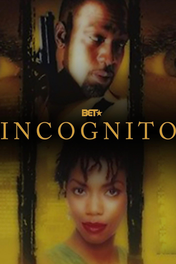 Incognito Poster