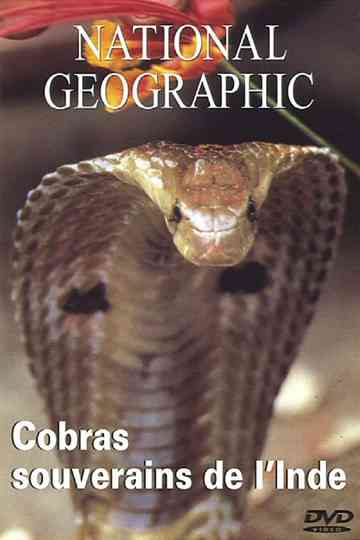 National Geographic  Cobras souverains de linde poster