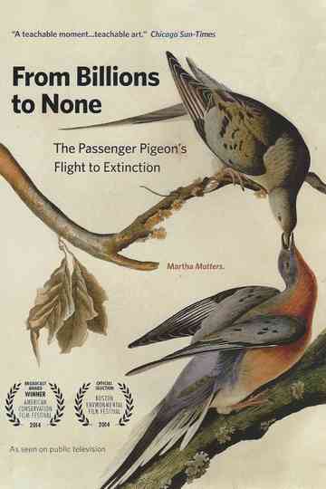 From Billions to None: The Passenger Pigeon's Flight to Extinction Poster