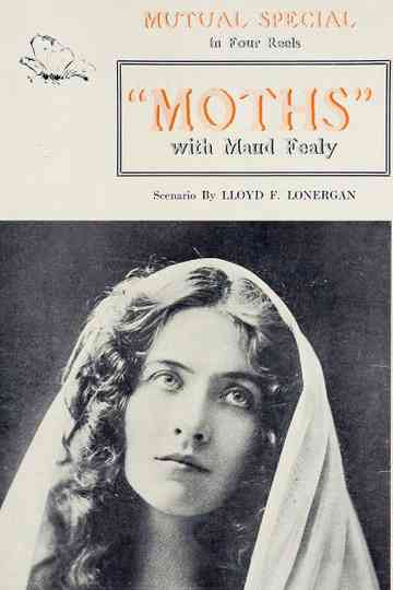 Moths Poster