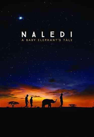 Naledi A Baby Elephants Tale Poster