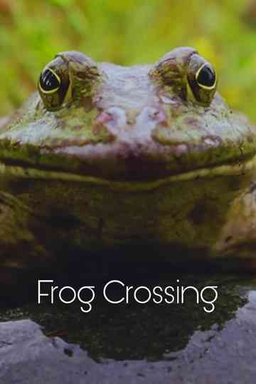 Frog Crossing Poster