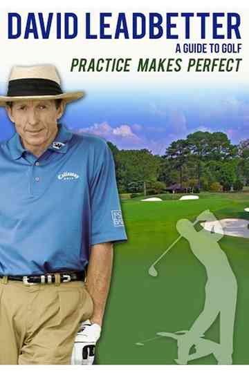 David Leadbetter : Practice Makes Perfect Poster
