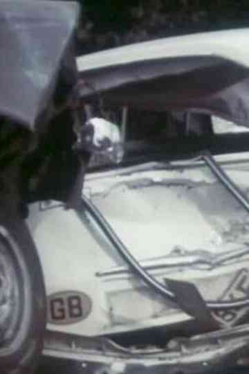 Only a Fool Breaks the 2 Second Rule: Pile-up Poster