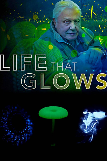 Attenborough's Life That Glows Poster