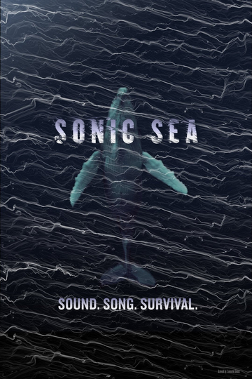 Sonic Sea Poster