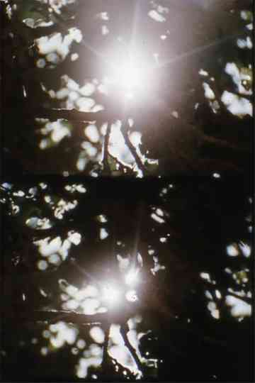 Pastorale d'été Poster