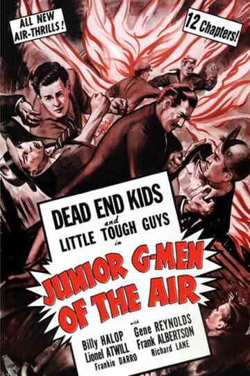 Junior GMen of the Air Poster