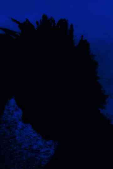 Angel of the Night Poster