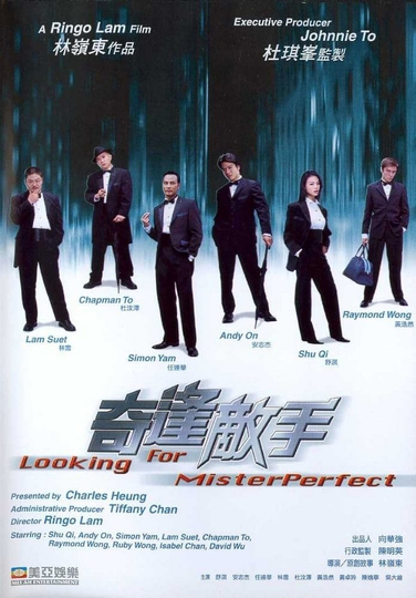 Looking for Mr. Perfect Poster