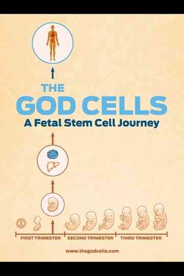 The God Cells Poster
