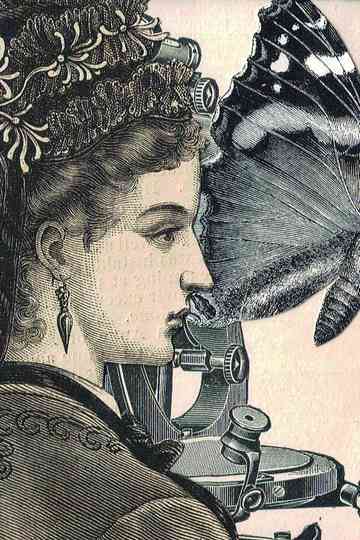 Beyond Enchantment Poster