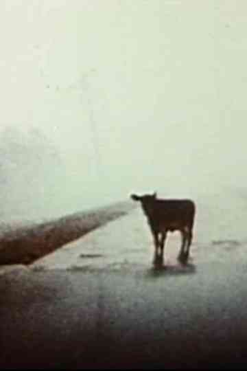 Everywhere at Once Poster