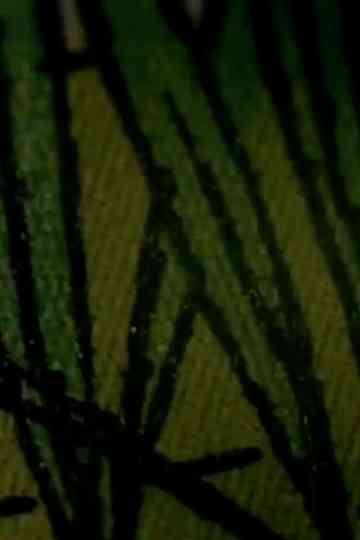 For Them Ending Poster