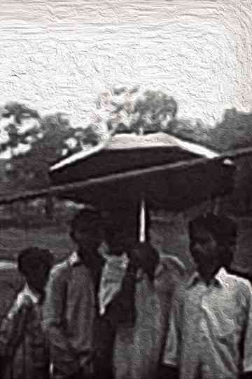 Den of Tigers Poster