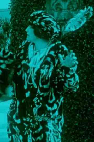 When the Night Call Came Poster