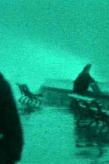 The Maelstrom: A Family Chronicle Poster