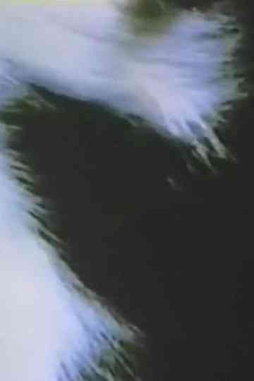 Summer Solstice Poster