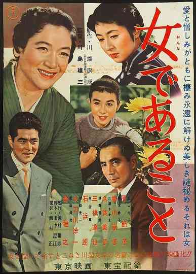 Woman Unveiled Poster