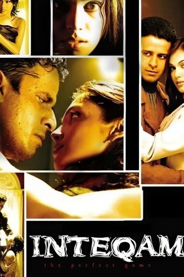 Inteqam: The Perfect Game