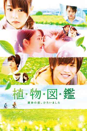 Evergreen Love poster