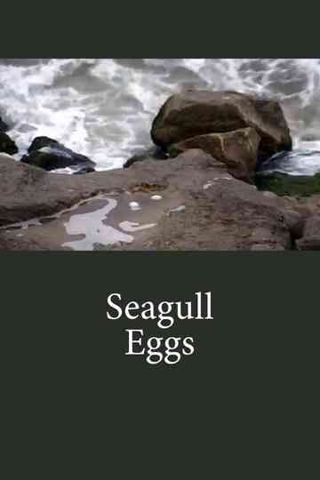 Seagull Eggs Poster