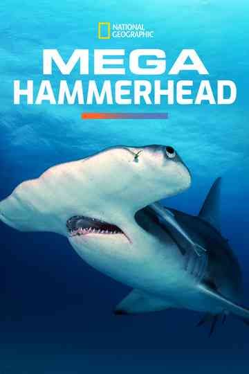 Mega Hammerhead Poster
