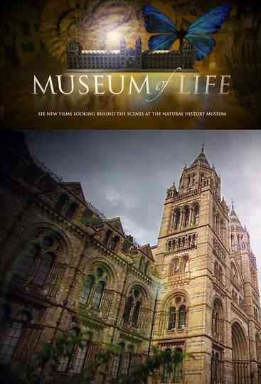 Museum of Life Poster