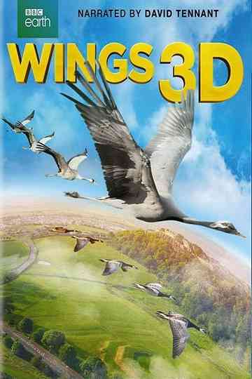Wings 3D Poster