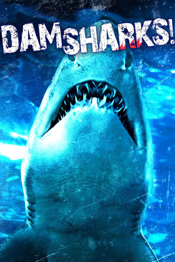 Dam Sharks! Poster