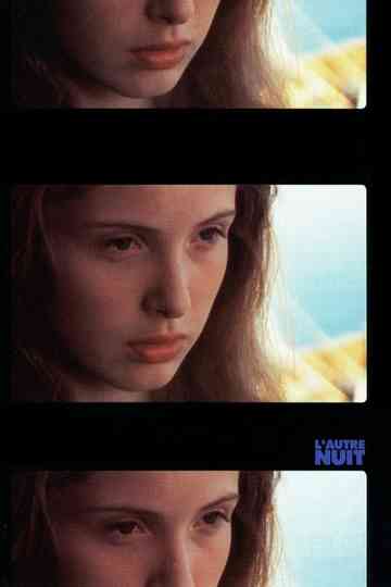 The Other Night Poster