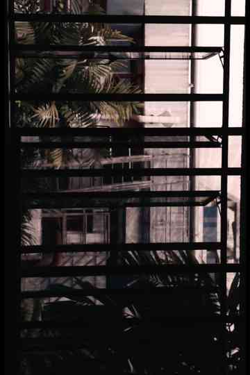 Goodbye Philippines Poster