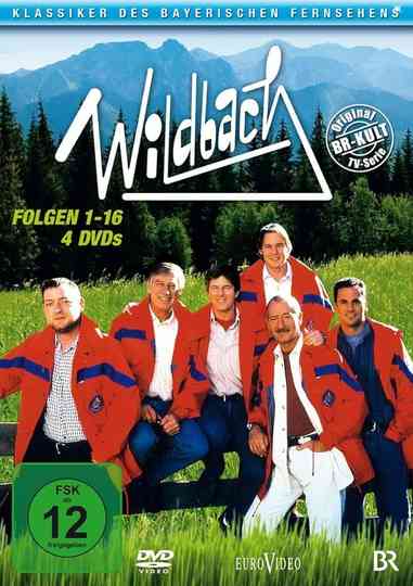 Wildbach Poster