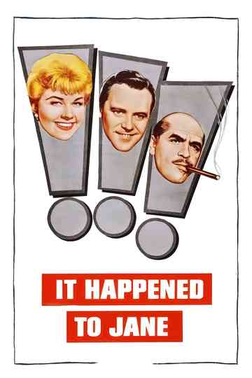 It Happened to Jane Poster