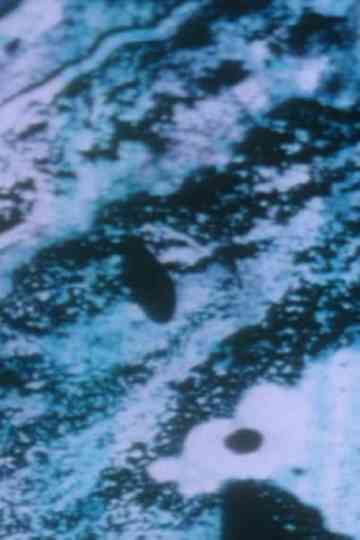 Anomalies of the Unconscious Poster