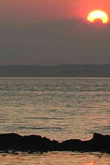 Waterfront Follies Poster