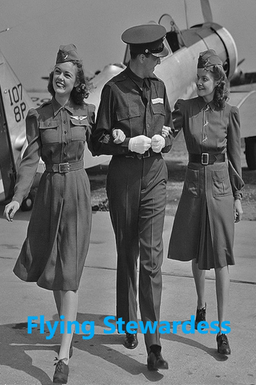 Flying Stewardess Poster