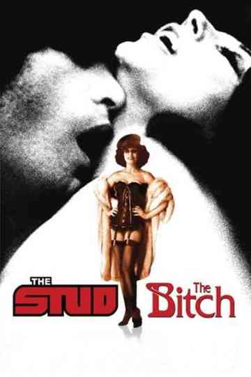 Fontaine Khaled Collection Poster