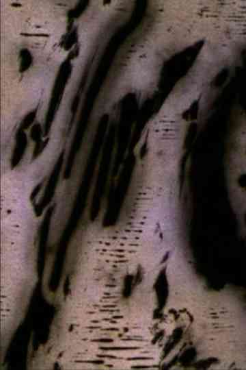 Motion of Light Poster