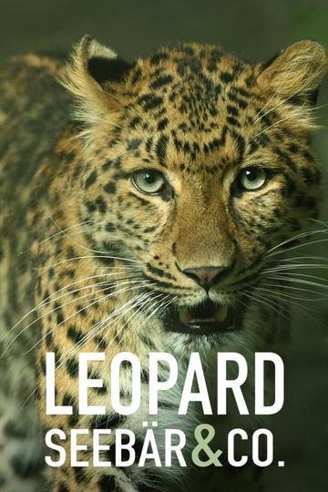 Leopard, Seebär & Co.