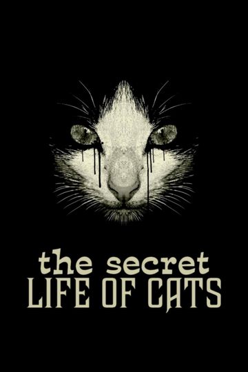 The Secret Life of Cats Poster